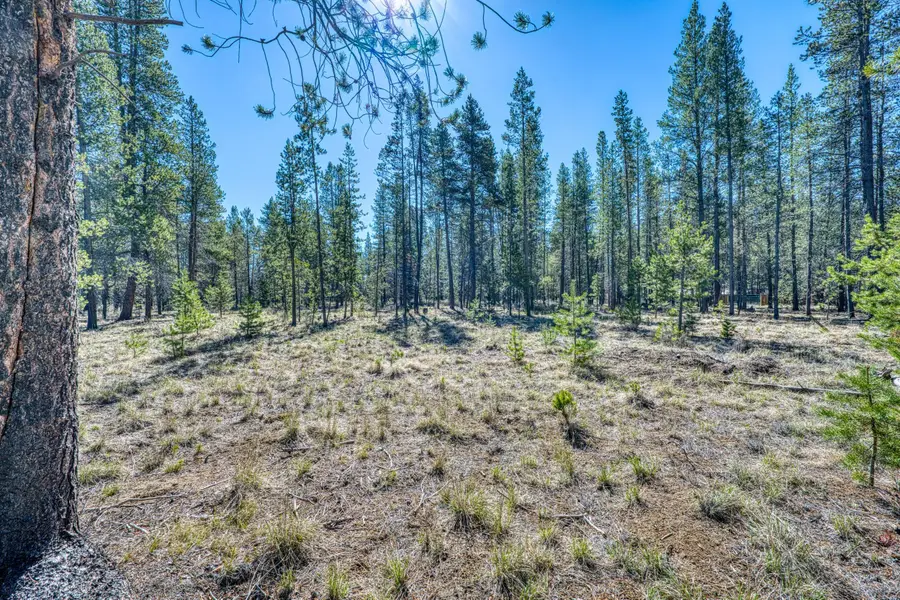 No Situs* Pine Crest Lane #32, La Pine, OR 97739 - #2