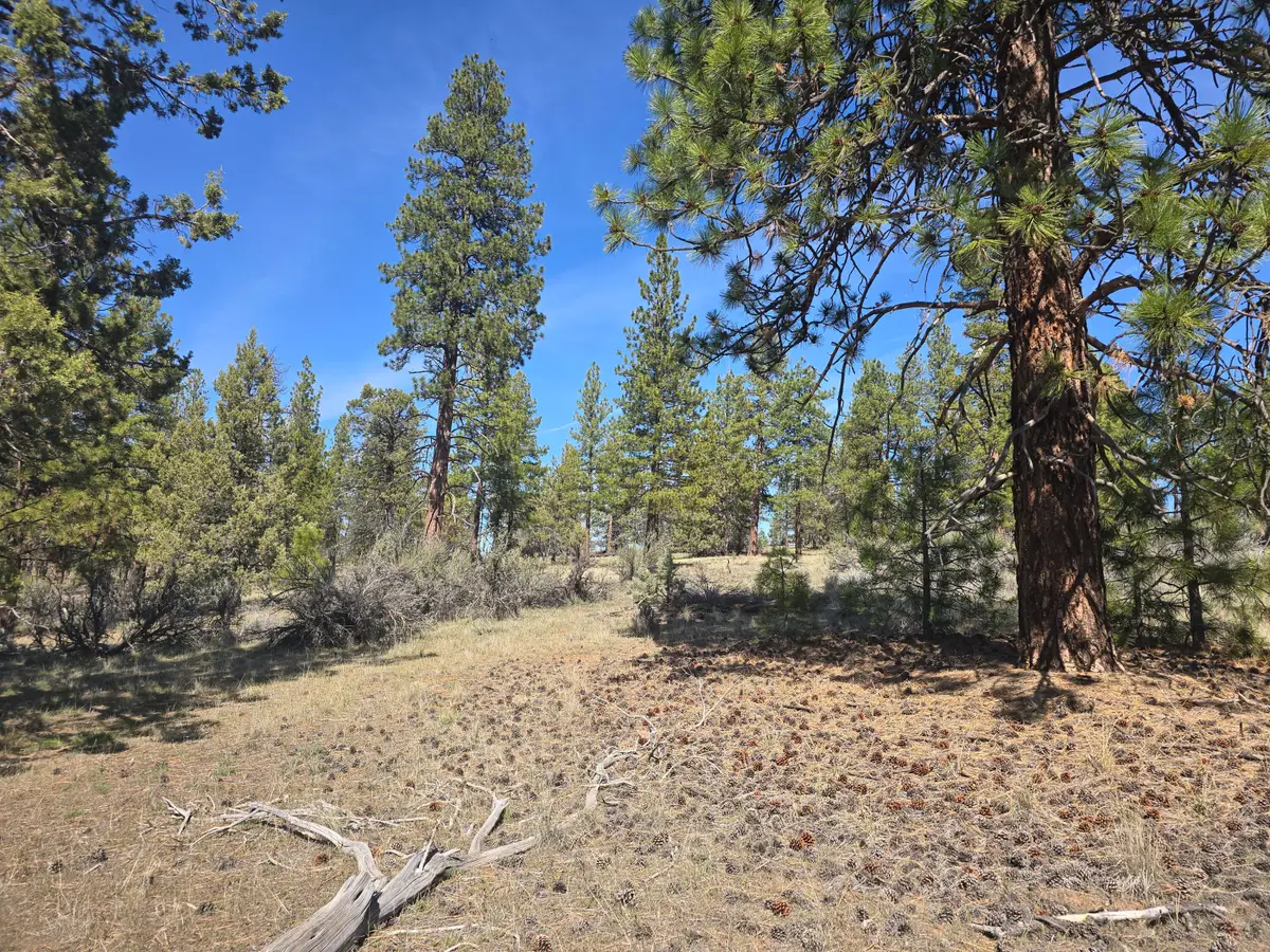 Widgeon Drive #39, Bonanza, OR 97623 - #1