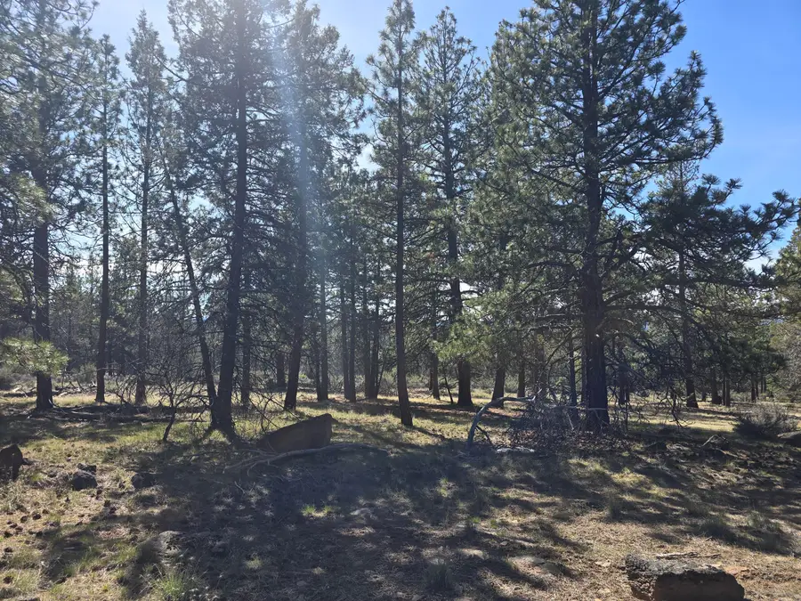 Widgeon Drive #39, Bonanza, OR 97623 - #2