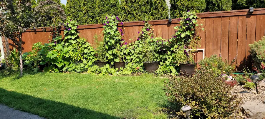 224 Landau Lane, Grants Pass, OR 97527 - #3
