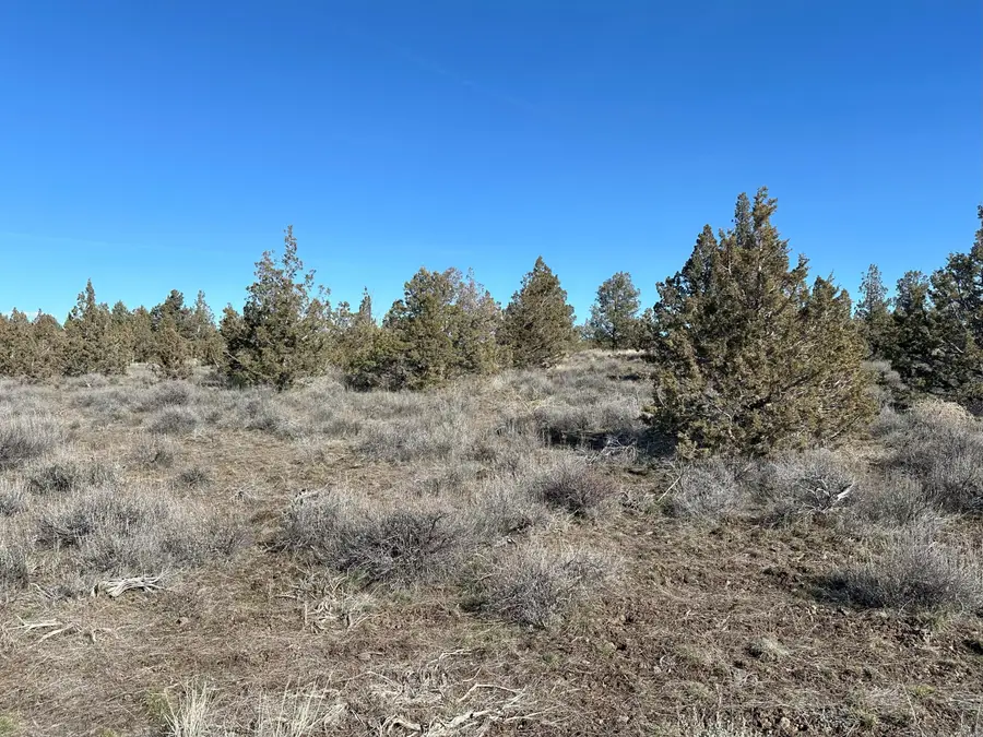 SE Odessa Road #Lot 132, Prineville, OR 97754 - #2