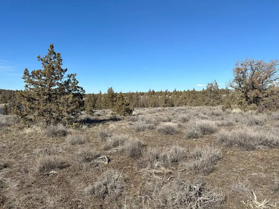 SE Odessa Road #Lot 132, Prineville, OR 97754 - #3