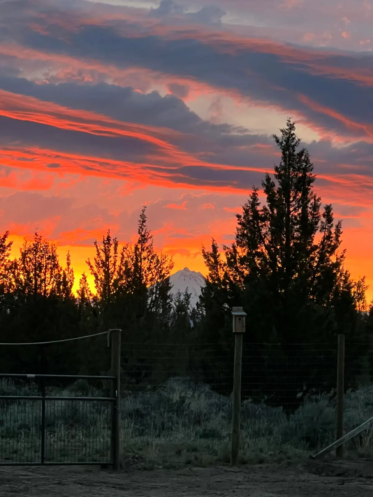 10001 SW Geneva View Road, Terrebonne, OR 97760 - #1