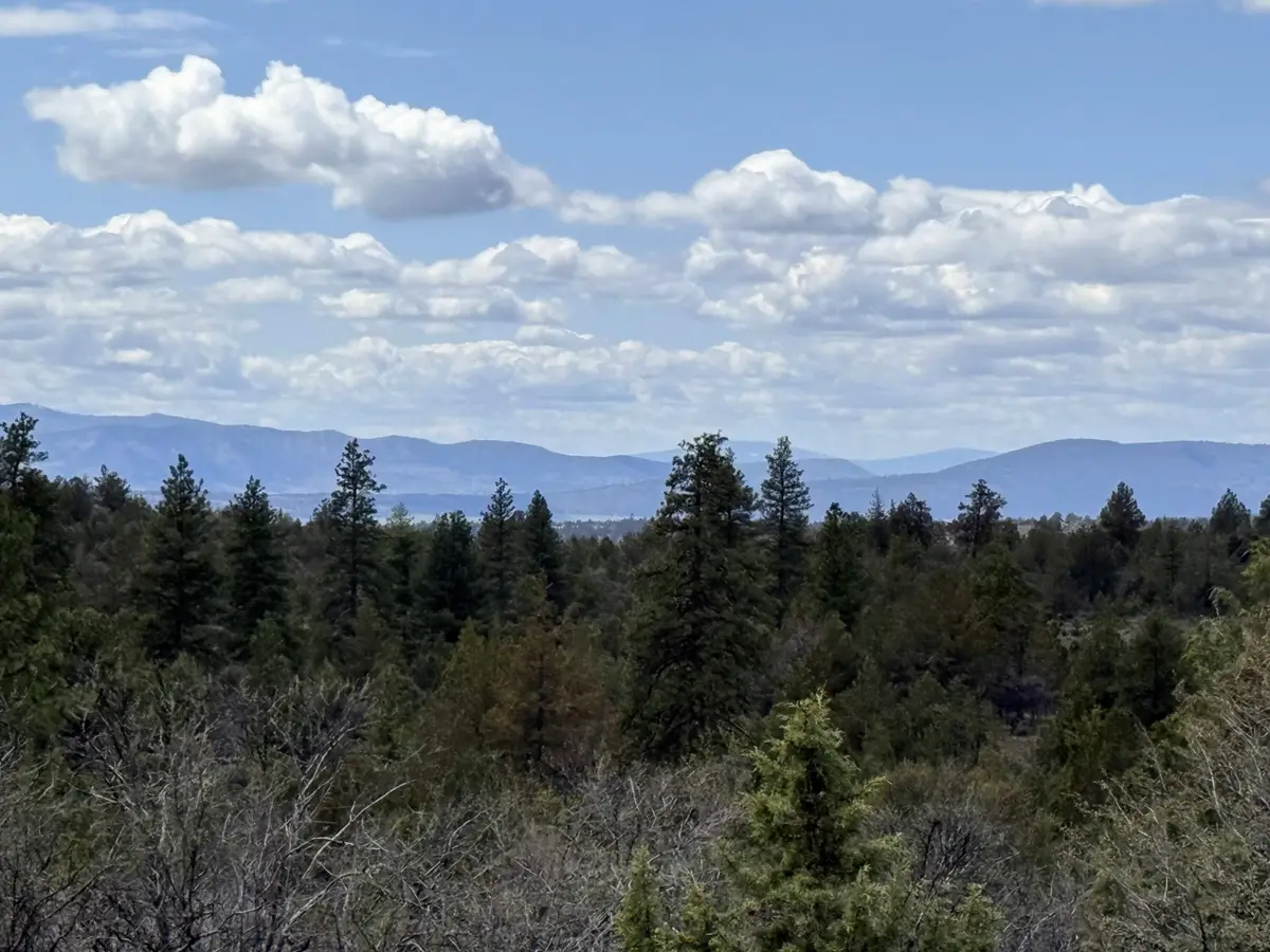 0 Fs 384 Tl 1700, Bonanza, OR 97623 - #1