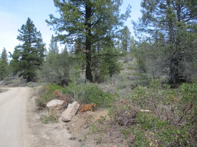 0 Night Owl Drive #2, Bonanza, OR 97623 - #3