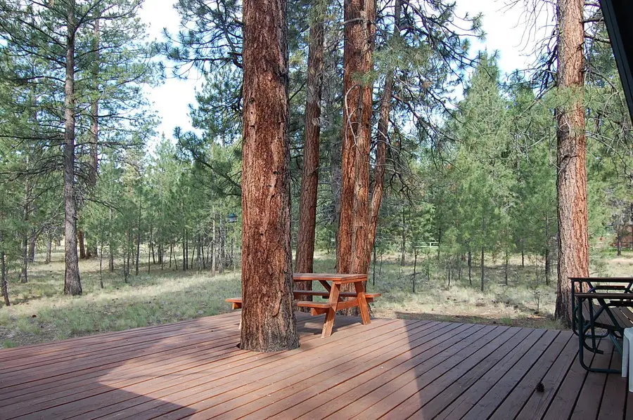 69307 Scabbard, Sisters, OR 97759 - #3