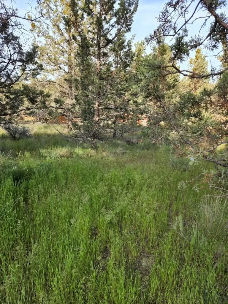 NW Jordan Avenue, Prineville, OR 97754 - #2