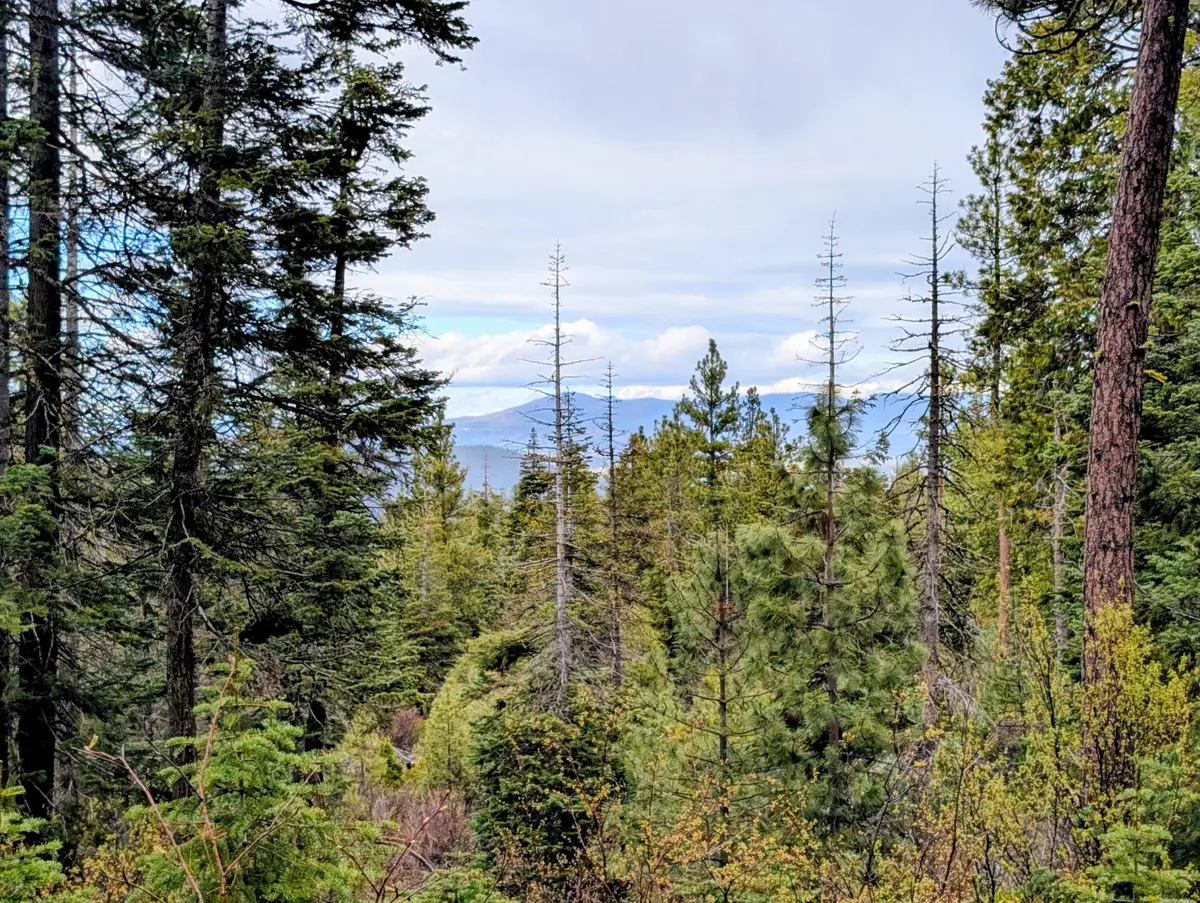 Beaver Lane #46 & 47, Bonanza, OR 97623 - #1