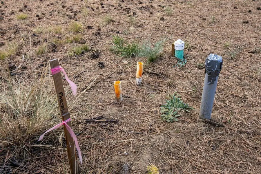 157 W Black Crater Avenue, Sisters, OR 97759 - #3