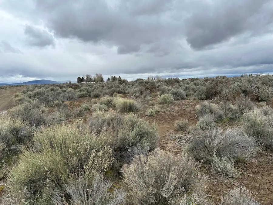 0 Bark Loop, Christmas Valley, OR 97641 - #3