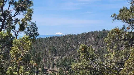 1315 NE Lofton Creek Road, Prineville, OR 97754 - #2