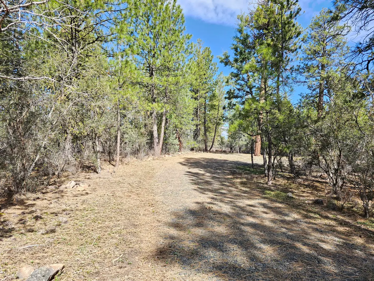 Wolverine Lane #Lot 7 & 8, Bonanza, OR 97623 - #1