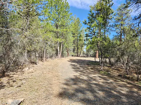 Wolverine Lane #Lot 7 & 8, Bonanza, OR 97623