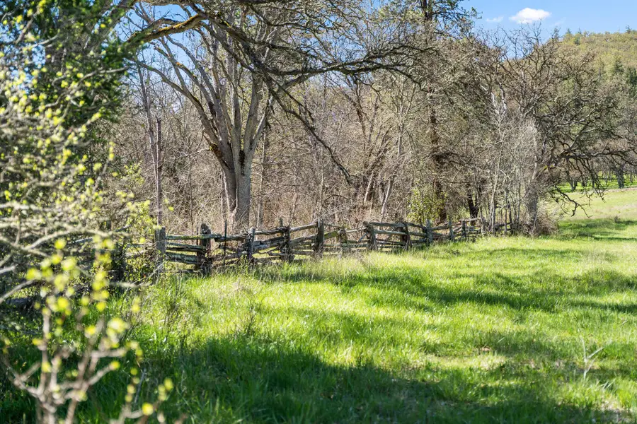 Buckhorn Road #1000, Ashland, OR 97520 - #3