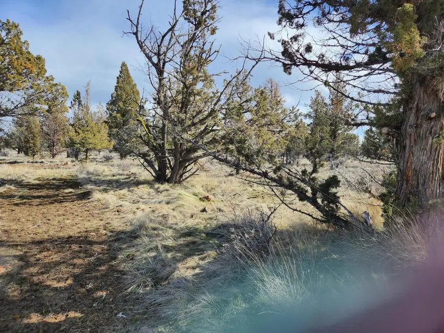 300 SW Geneva Road, Culver, OR 97734 - #2