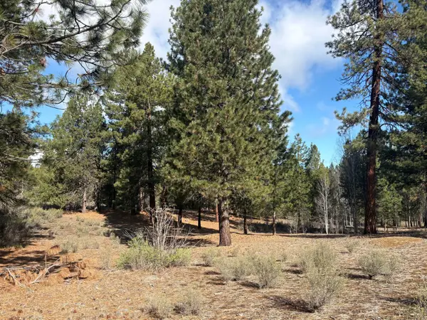 0 Pine Ridge Loop #Lot 5, Chiloquin, OR 97624