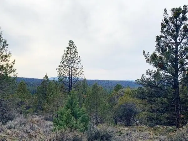 0 Widgeon Drive #Lots 1, 2 & 3, Bonanza, OR 97623