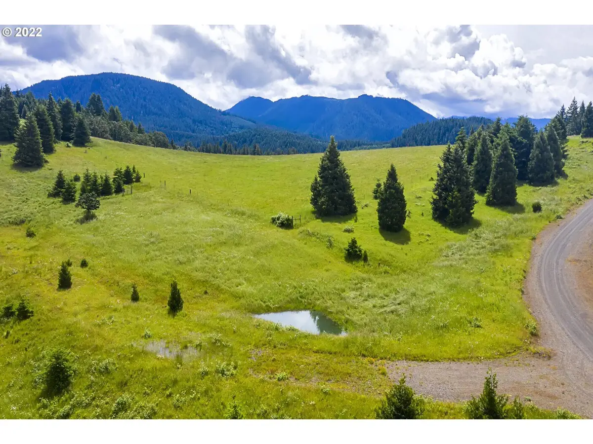 Bugle Loop #TL 1304, Oakridge, OR 97463 - #1