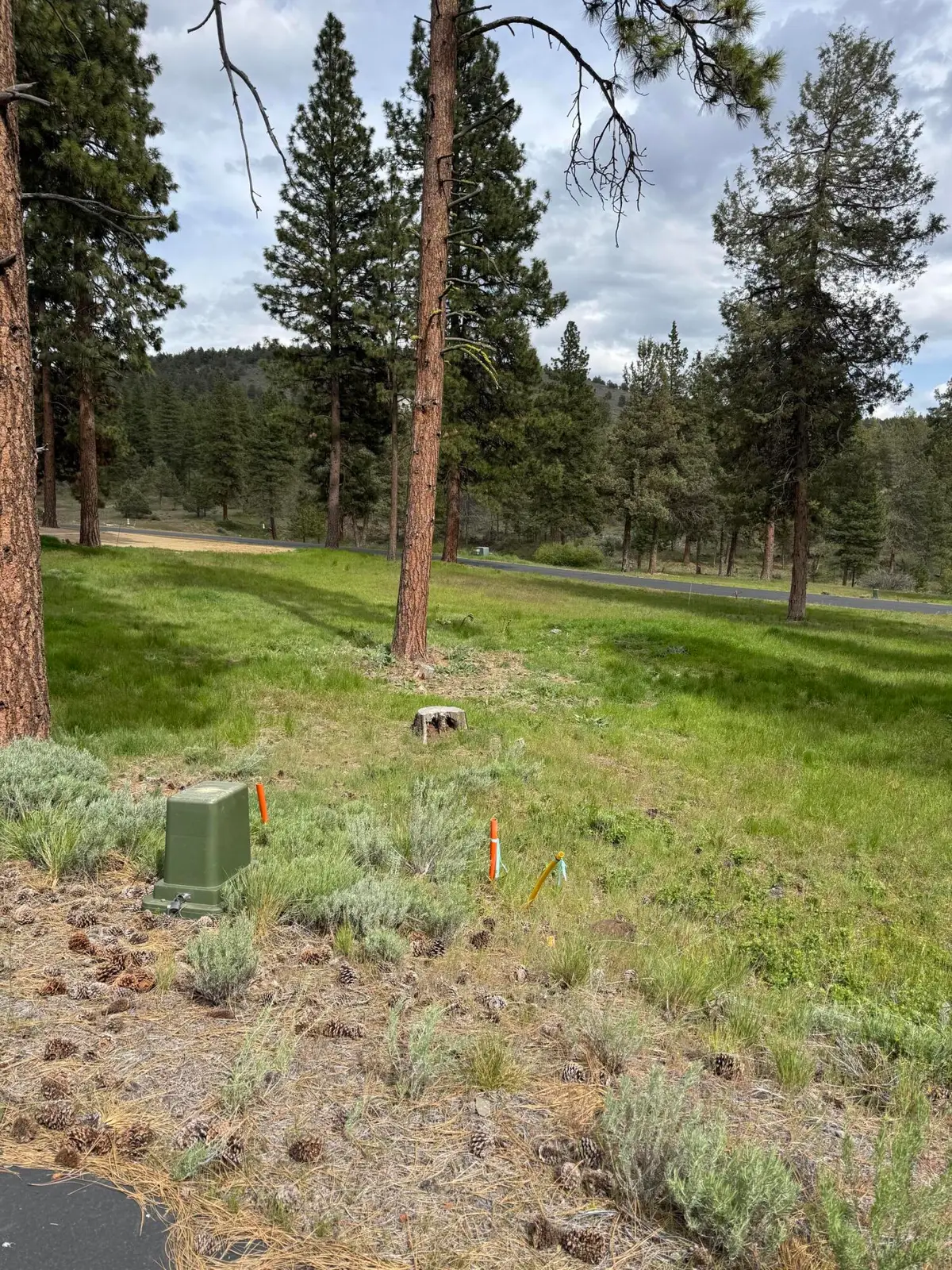 1075 Timber Ridge Loop, Klamath Falls, OR 97601 - #1