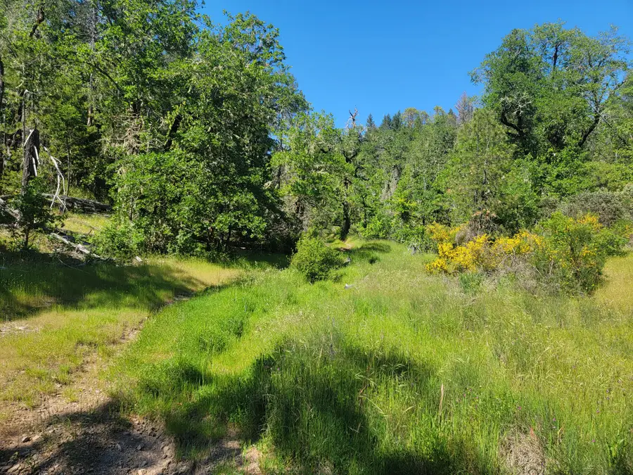 Redwood Highway #TL 203, Selma, OR 97538 - #3