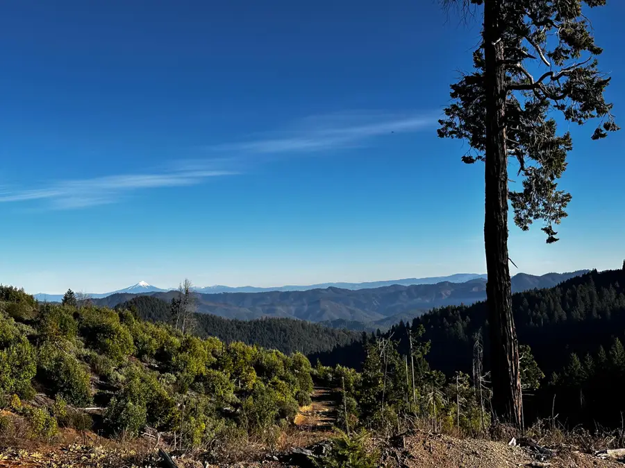 Upper Joe Creek Road #5200, Grants Pass, OR 97526 - #2