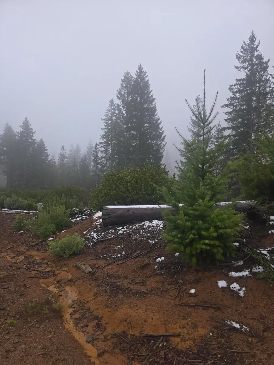 Upper Joe Creek Road #5200, Grants Pass, OR 97526 - #3
