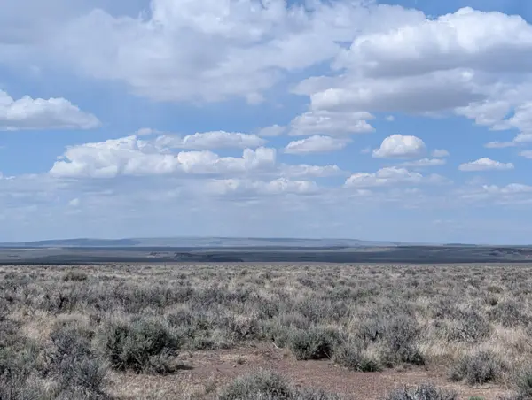 Black Canyon Road, Adel, OR 97620
