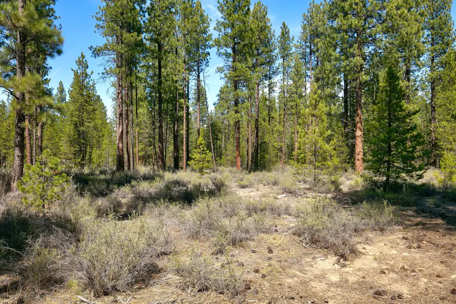 50750 Deer Forest Drive, La Pine, OR 97739 - #3