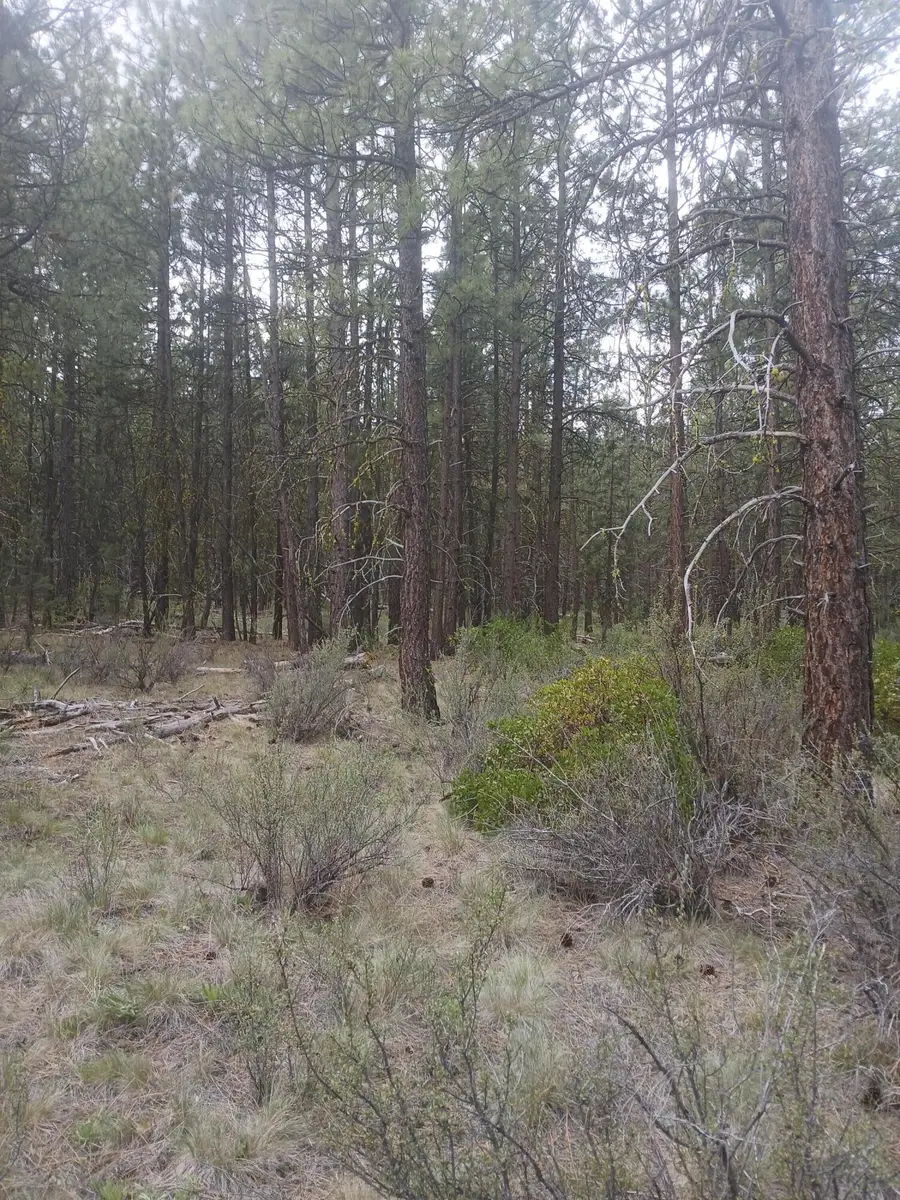 0 Tableland Road, Chiloquin, OR 97624 - #2