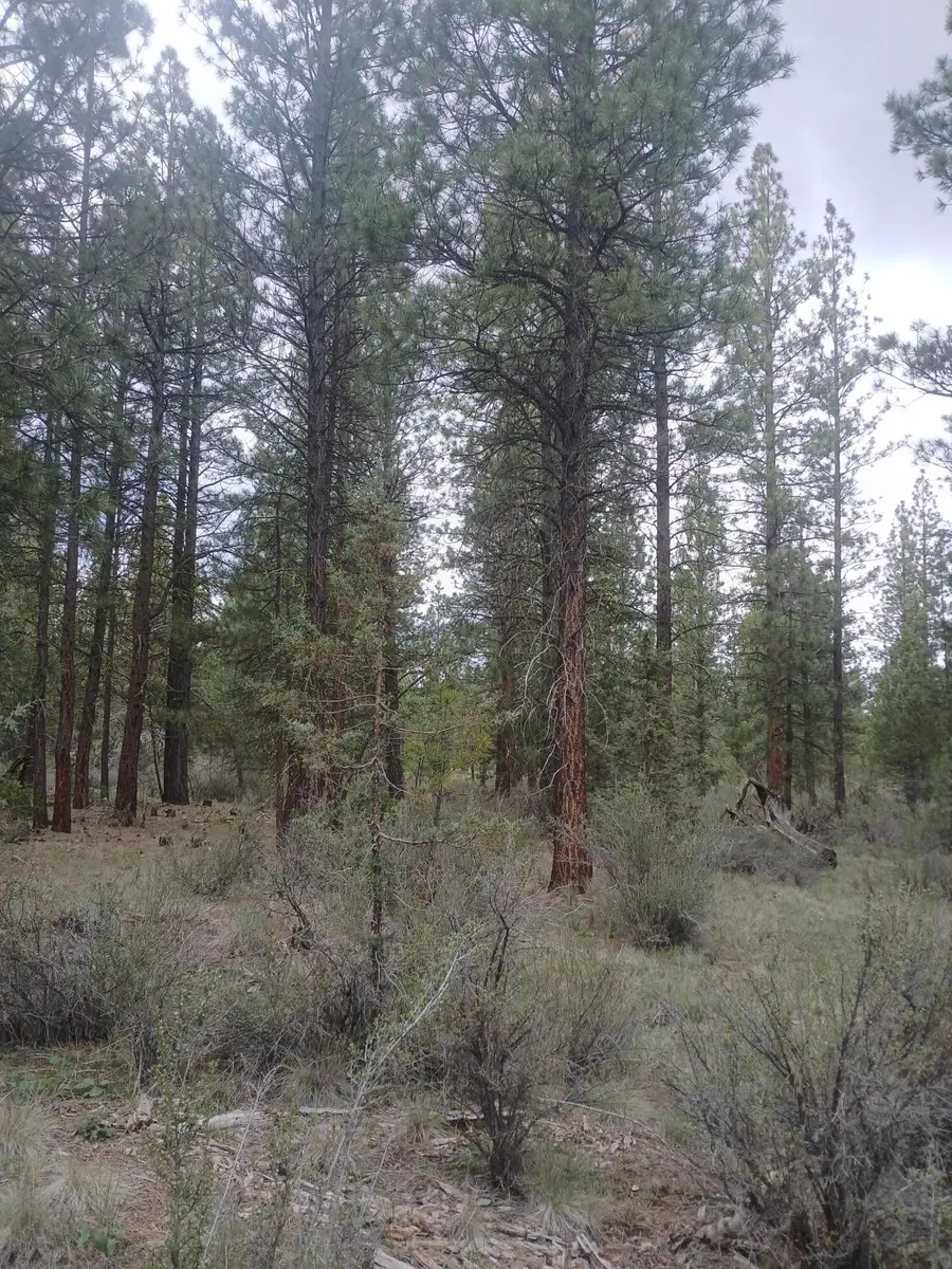 0 Tableland Road, Chiloquin, OR 97624 - #3