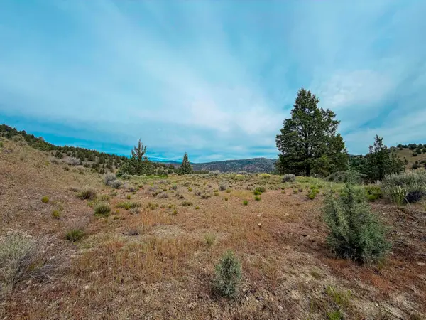 Luce Creek Road, John Day, OR 97845