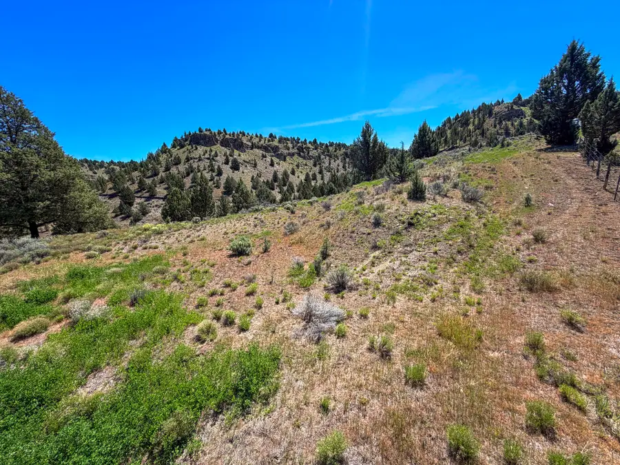 Luce Creek Road, John Day, OR 97845 - #3