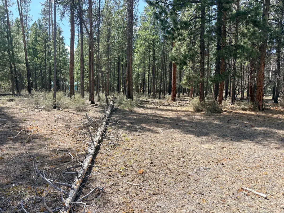 1548 Cheryl Drive, La Pine, OR 97739 - #1