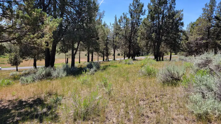 0 Murrelet Road #Lot 1196, Klamath Falls, OR 97601 - #2
