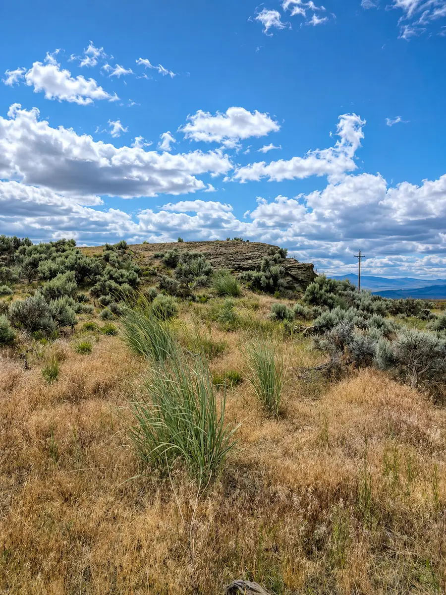 0 Chinook Road #00200, Christmas Valley, OR 97641 - #3
