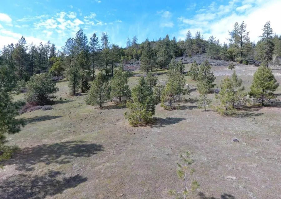 420 Tycer Crossing, Cave Junction, OR 97523 - #2