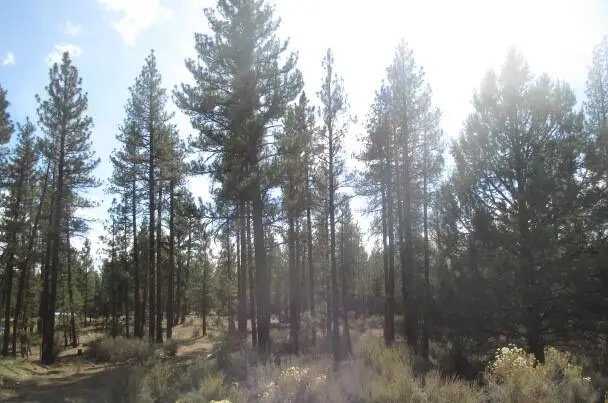 0 Pheasant Lane #16, Chiloquin, OR 97624 - #1