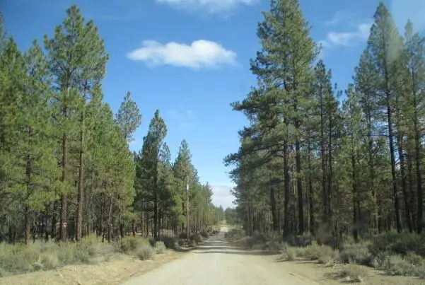 0 Pheasant Lane #16, Chiloquin, OR 97624 - #3