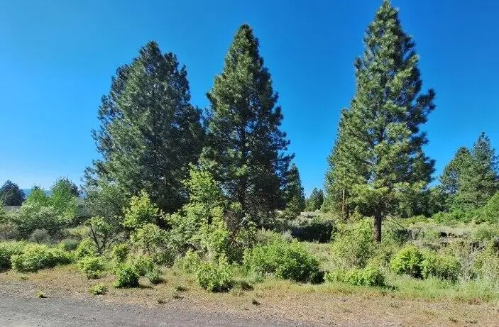 Shoreview Drive #Block 9 Lot 18, Chiloquin, OR 97624 - #1