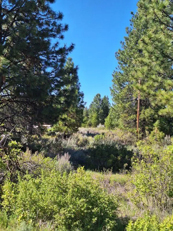 Shoreview Drive #Block 9 Lot 18, Chiloquin, OR 97624 - #3
