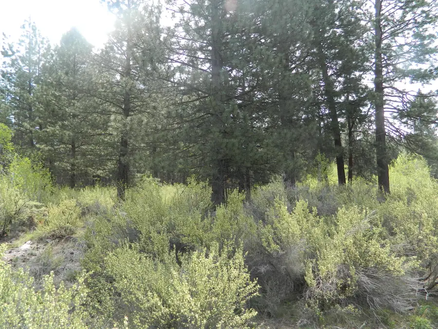 200 Highway 422 N, Chiloquin, OR 97624 - #2