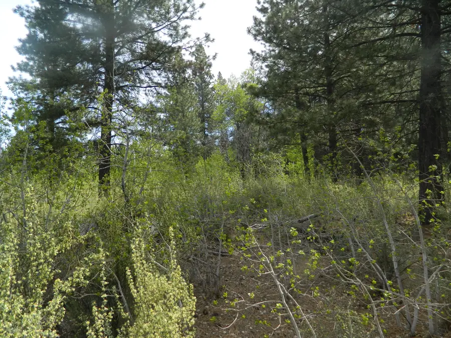 200 Highway 422 N, Chiloquin, OR 97624 - #3
