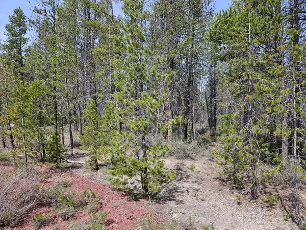 0 Scott View Drive #7, Chiloquin, OR 97624