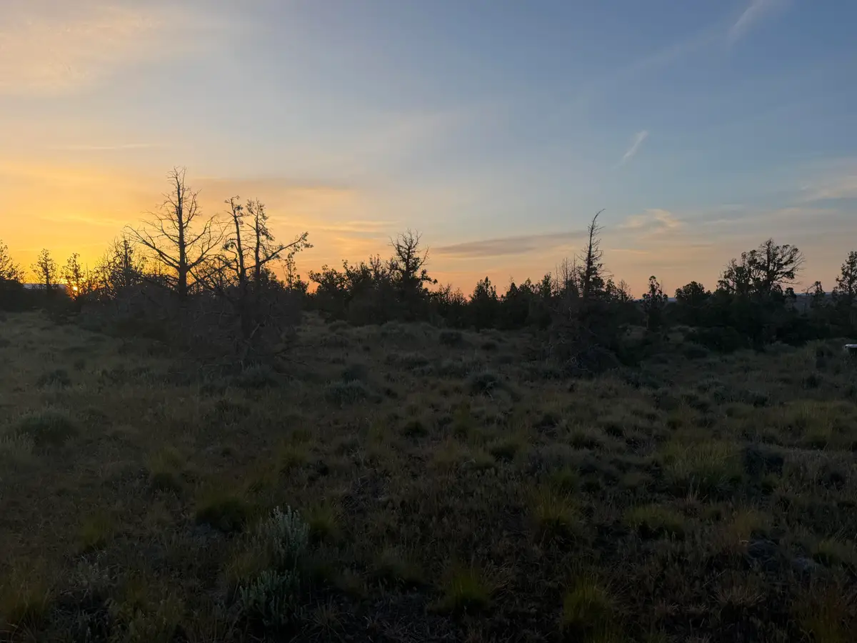 6802 SE Weatherby Loop, Prineville, OR 97754 - #1