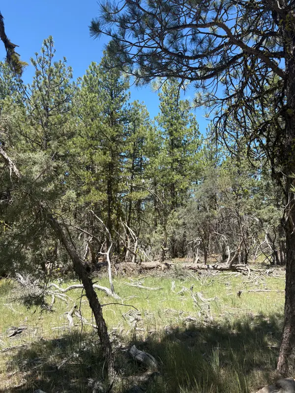 0 Chickadee Drive #Lot 10, Bonanza, OR 97623