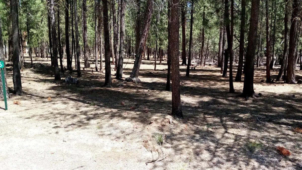 14856 Curlleaf, La Pine, OR 97739 - #1