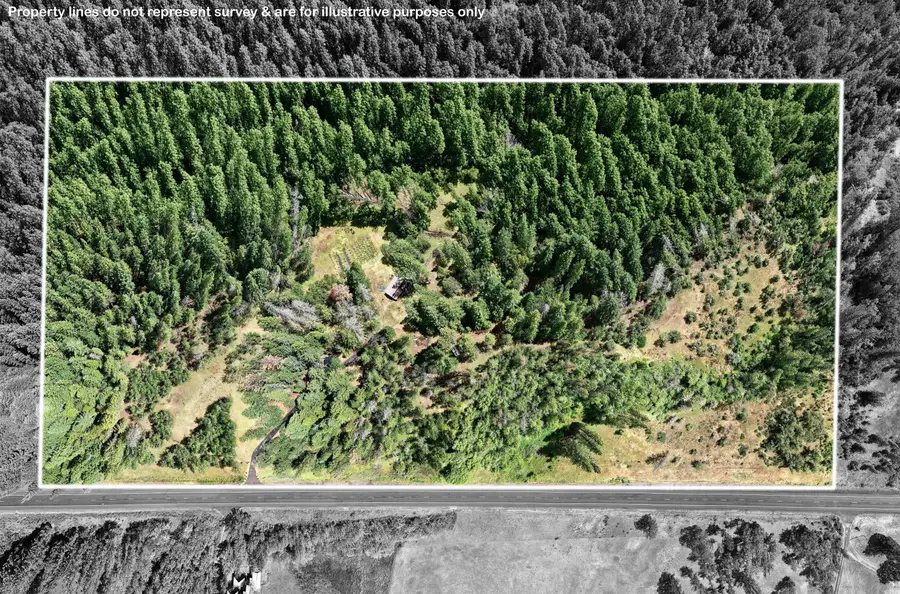 42256 Highway 62, Prospect, OR 97536 - #3