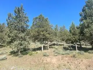 0 Murrelet Road #Lot 1185, Klamath Falls, OR 97601 - #2