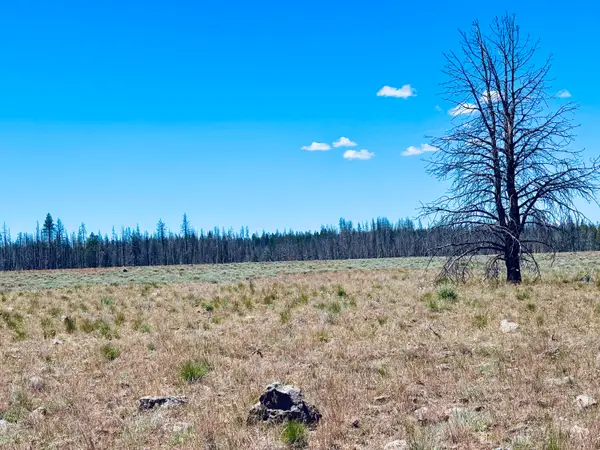 0 White Birch Lane #Lot 4, Bly, OR 97622