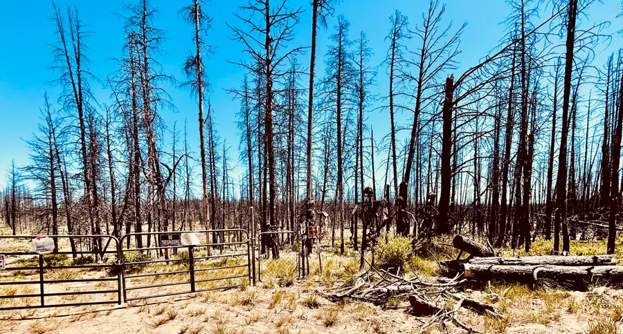 0 White Birch Lane #Lot 4, Bly, OR 97622 - #2